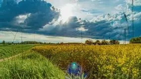 Wiosna na całego na i piękne okoliczności przyrody - zdjęcie 35