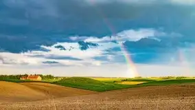 Wiosna na całego na i piękne okoliczności przyrody - zdjęcie 1