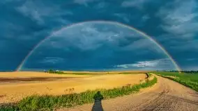 Wiosna na całego na i piękne okoliczności przyrody - zdjęcie 48