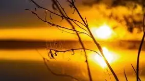 Zachód słońca nad jeziorem Jeziorowskie - zdjęcie 47