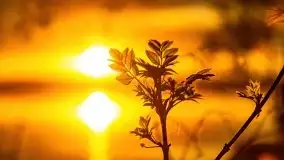 Zachód słońca nad jeziorem Jeziorowskie - zdjęcie 9