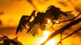 Zachód słońca nad jeziorem Jeziorowskie - zdjęcie 32