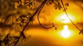 Zachód słońca nad jeziorem Jeziorowskie - zdjęcie 20