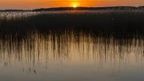 Zachód słońca w porcie Ognisty Ptak, maj 2021 - zdjęcie 10