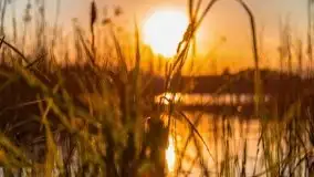 Zachód nad jeziorem Ryńskim, zatoka Mrówcza - zdjęcie 25