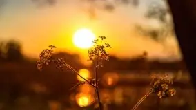 Zachód nad jeziorem Ryńskim, zatoka Mrówcza - zdjęcie 33