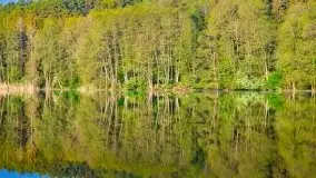 Mazur nie tylko szumem jeziora kuszą... zobaczcie wiosenną łąkę - zdjęcie 3