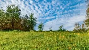 Mazur nie tylko szumem jeziora kuszą... zobaczcie wiosenną łąkę - zdjęcie 22