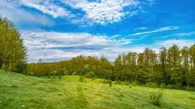 Mazur nie tylko szumem jeziora kuszą... zobaczcie wiosenną łąkę - zdjęcie 13