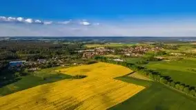 Mazurskie złote, piękne, rzepakowe pola - zdjęcie 69