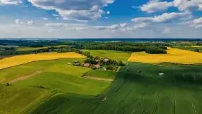 Mazurskie złote, piękne, rzepakowe pola - zdjęcie 74