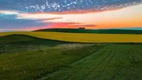 Mazurskie złote, piękne, rzepakowe pola - zdjęcie 29