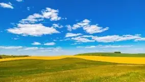 Mazurskie złote, piękne, rzepakowe pola - zdjęcie 45