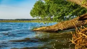 Zachód słońca nad jeziorem Dargin, Poganty - zdjęcie 5