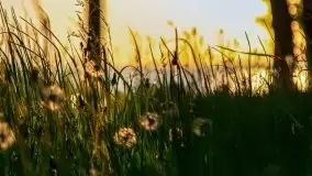 Zachód słońca nad jeziorem Dargin, Poganty - zdjęcie 37