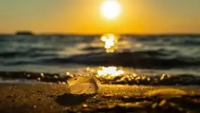 Zachód słońca nad jeziorem Dargin, Poganty - zdjęcie 10