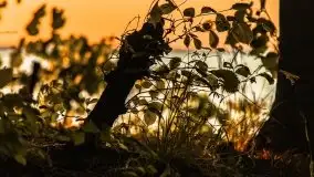 Zachód słońca nad jeziorem Dargin, Poganty - zdjęcie 18