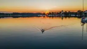 Wschód słońca nad jeziorem Bocznym, port Tło Dla Mew - zdjęcie 23