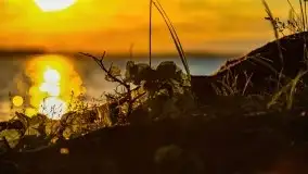 Zachód słońca nad jeziorem Dargin - zdjęcie 13