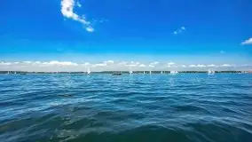 Regaty o Puchar Trzech Ryb w klasie Optimist - fotorelacja - zdjęcie 45