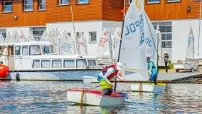 Regaty o Puchar Trzech Ryb w klasie Optimist - fotorelacja - zdjęcie 47