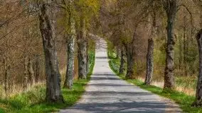 Podsumowanie wiosny 2021, zdjęcia z wielu miejsc - zdjęcie 70