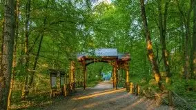 Podsumowanie wiosny 2021, zdjęcia z wielu miejsc - zdjęcie 37