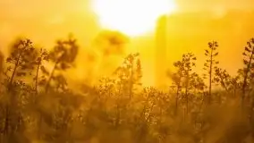 Podsumowanie wiosny 2021, zdjęcia z wielu miejsc - zdjęcie 4