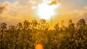 Podsumowanie wiosny 2021, zdjęcia z wielu miejsc - zdjęcie 68