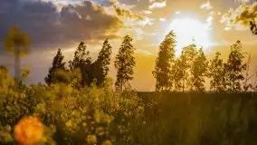 Podsumowanie wiosny 2021, zdjęcia z wielu miejsc - zdjęcie 113