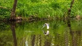 Podsumowanie wiosny 2021, zdjęcia z wielu miejsc - zdjęcie 105