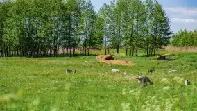 Podsumowanie wiosny 2021, zdjęcia z wielu miejsc - zdjęcie 119