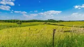 Podsumowanie wiosny 2021, zdjęcia z wielu miejsc - zdjęcie 114