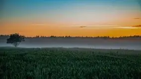 Wiosenne mgły nad polami Mazur w okolicy Pozezdrza - zdjęcie 15