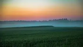 Wiosenne mgły nad polami Mazur w okolicy Pozezdrza - zdjęcie 4