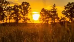 Zachody słońca nad Sztynortem, czerwiec 2021 - zdjęcie 13