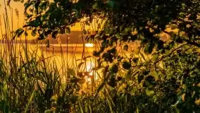 Jezioro Kirsajty o zachodzie słońca - zdjęcie 19