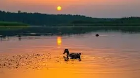 Zachód słońca nad jeziorem Kirsajty - zdjęcie 2