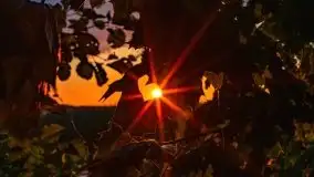 Zachód słońca nad jeziorem Dejguny, lipiec 2021 r. - zdjęcie 15