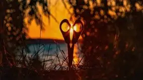 Zachód słońca nad jeziorem Dejguny, lipiec 2021 r. - zdjęcie 32