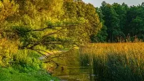 Zachód słońca w Fuledzie nad jeziorem Dobskim - zdjęcie 4