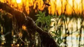 Zachód słońca w Fuledzie nad jeziorem Dobskim - zdjęcie 45