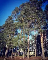 Ośrodek - zdjęcie 10