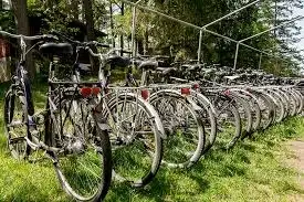 Ośrodek - zdjęcie 9