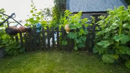 Niebieska Tawerna - zdjęcie 37