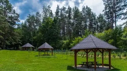 Sosnowy Raj - Domki na Mazurach - zdjęcie 29