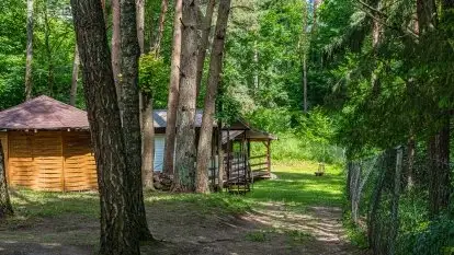 Sosnowy Raj - Domki na Mazurach - zdjęcie 6