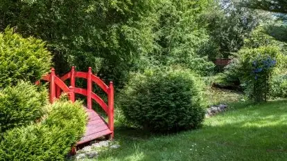 Nowa galeria - zdjęcie 93