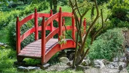 Nowa galeria - zdjęcie 55