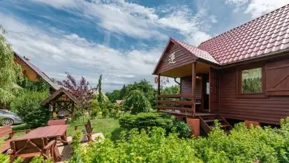 Nowa galeria - zdjęcie 58